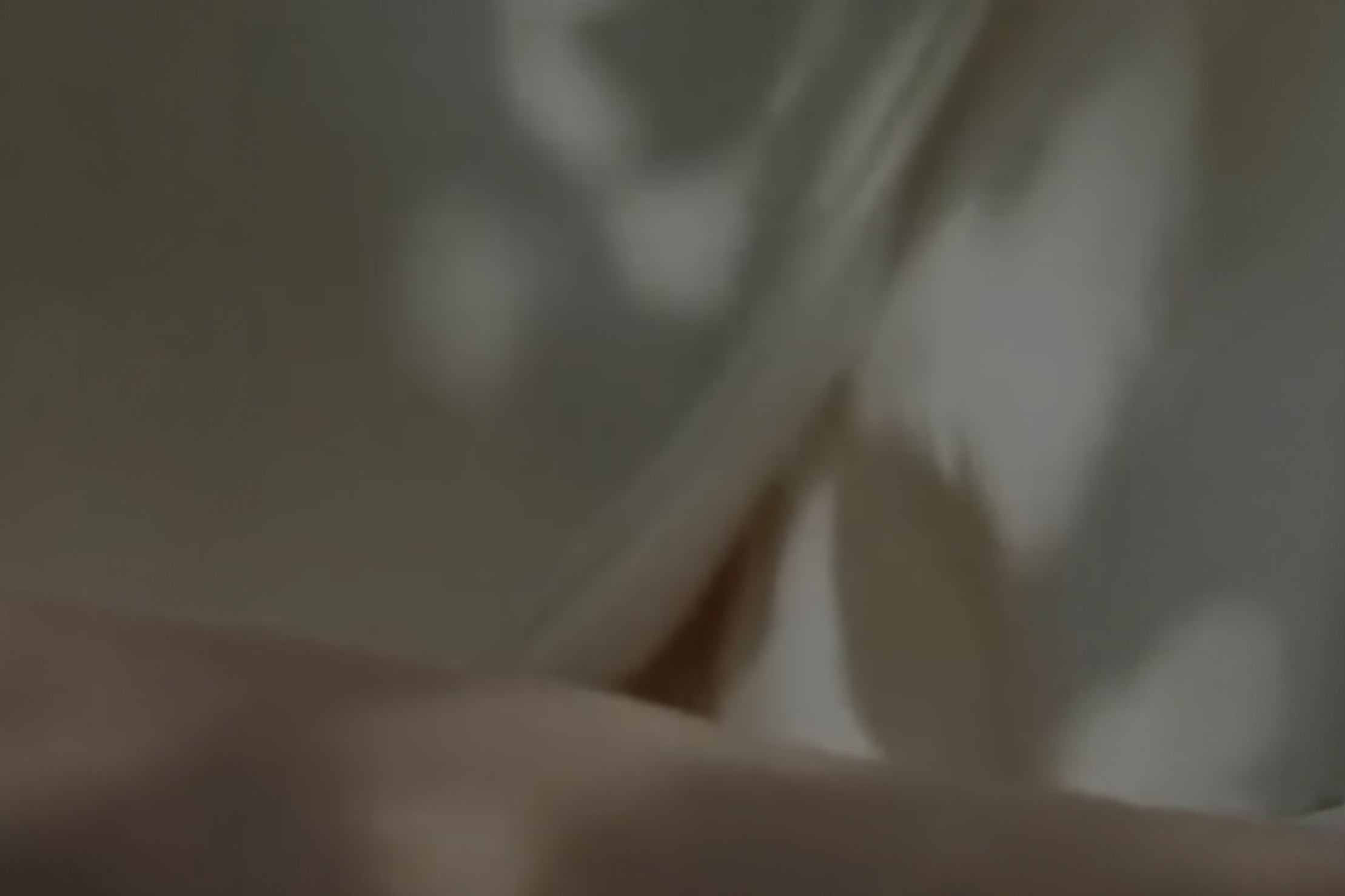 アクア